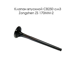 Клапан впускной CB250 см3 Zongshen ZS 170MM-2 (100061959)